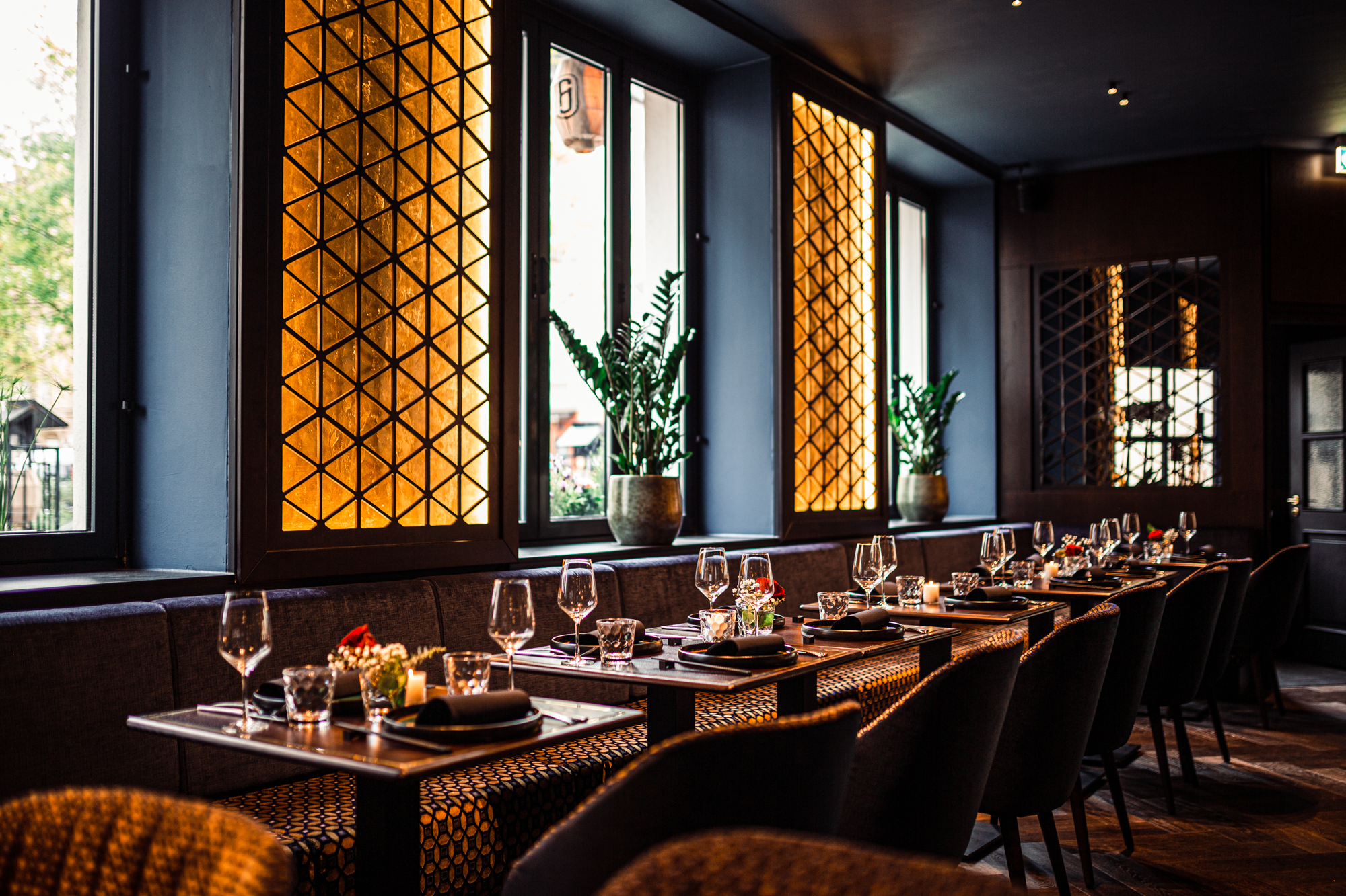 ANJI - ORIGIN OF TASTE - München